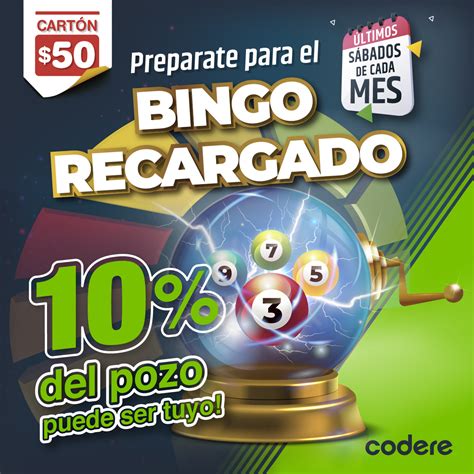 1001 Bingo Casino Argentina