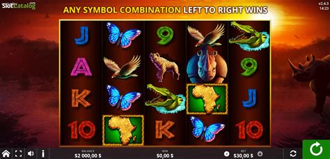African Rhino Slot - Play Online
