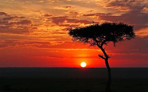 African Sunset 2 Parimatch