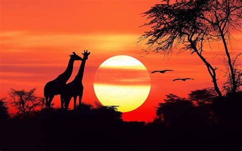 African Sunset Betway