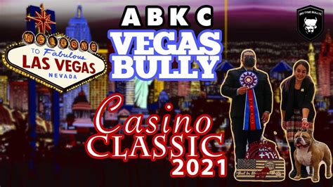 American Bully Casino