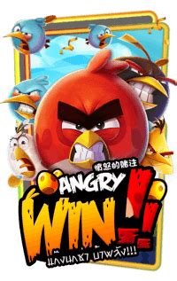 Angry Win Review 2024
