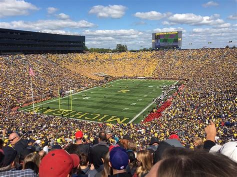 Ann Arbor Jogo