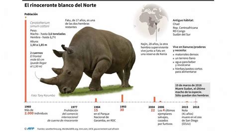 Bando De Rinoceronte Maquina De Fenda