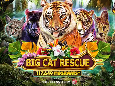Big Cat Rescue Megaways 1xbet