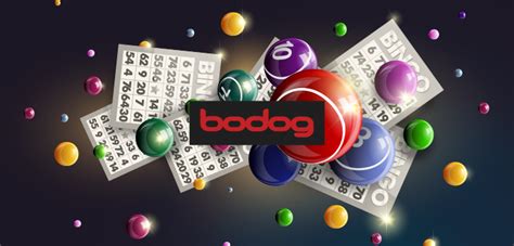 Bingo Genio Bodog