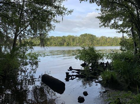 Black Creek Jacksonville Fl