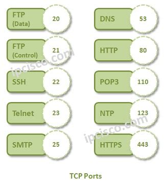 Blackjack 1025 Tcp