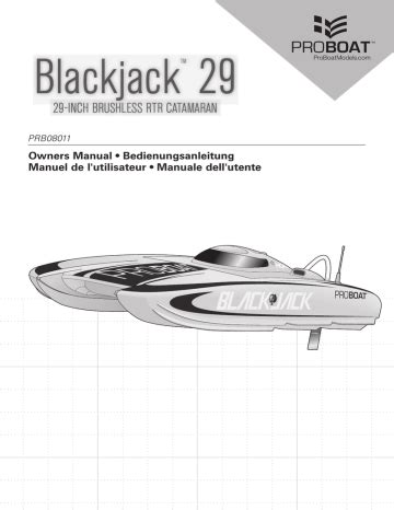 Blackjack 29 Manual