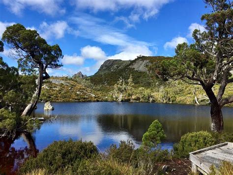 Blackjack Cabines De Cradle Mountain