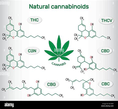 Blackjack Maconha Propiedades