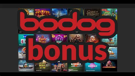 Bodog Casino Nicaragua