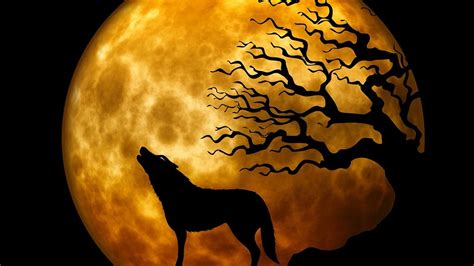 Book Of Wolves Full Moon Betsul