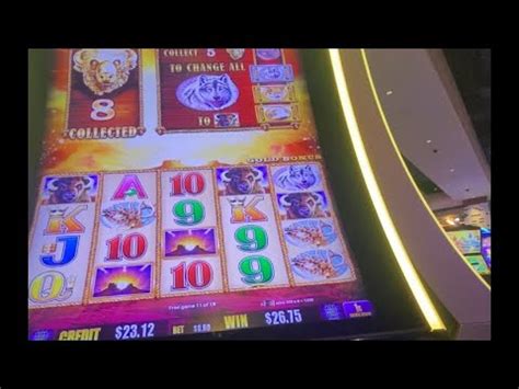 Buffalo Bet Casino Nicaragua