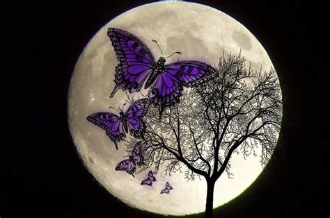 Butterfly Moon Betsson