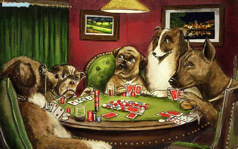 Cachorro Poker Run