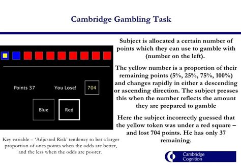 Cambridge Gambling Task Cantab