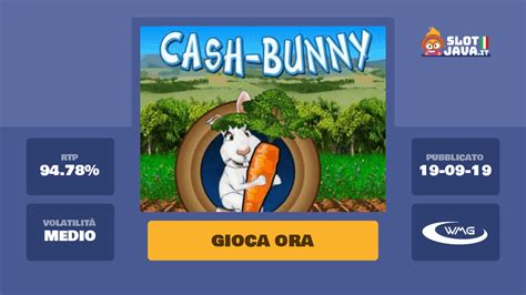 Cash Bunny Bwin