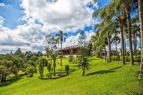 Casino Fazenda Para Venda