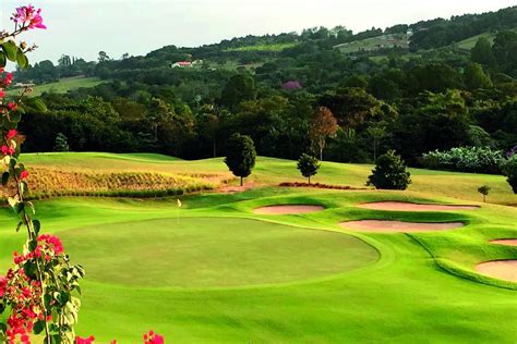 Cassino Campo De Golfe