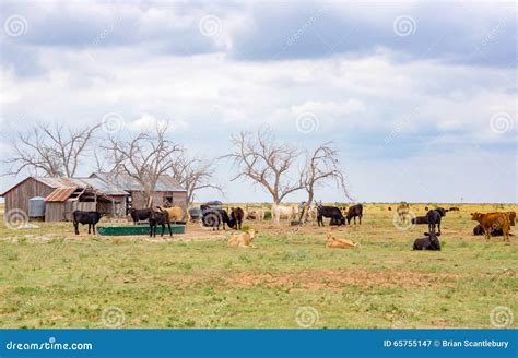 Cassinos Indigenas Perto De Amarillo Texas