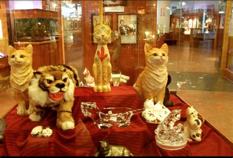 Cat Museum Bwin