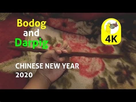 Chinese New Year Bodog