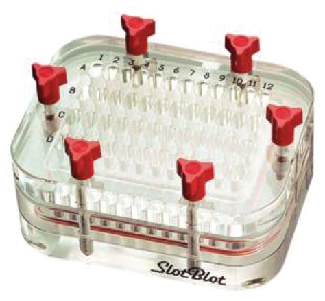 Coletor Ii Slot Blot Sistema