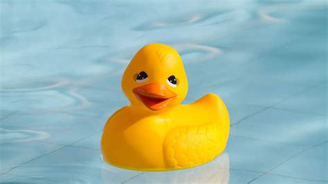 Ducky Duck Novibet