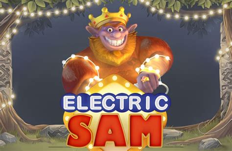 Electric Sam Review 2024