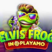 Elvis Frog In Playamo Bodog
