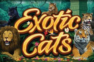 Exotic Cats 888 Casino
