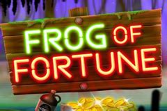 Frog Of Fortune Betsul