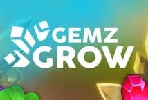 Gemz Grow Betway