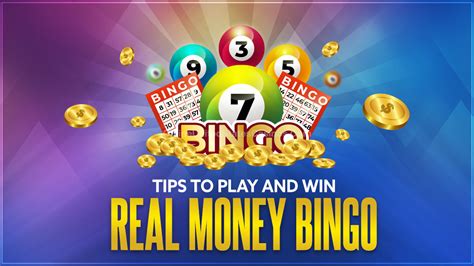 Giant Bingo Casino App