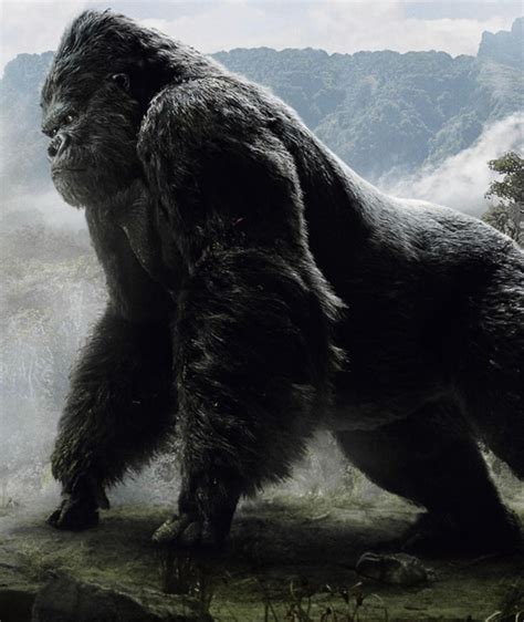 Giant King Kong Bodog