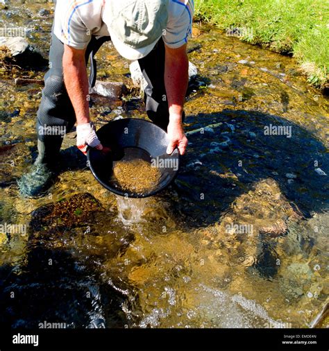 Gold Panning Betfair