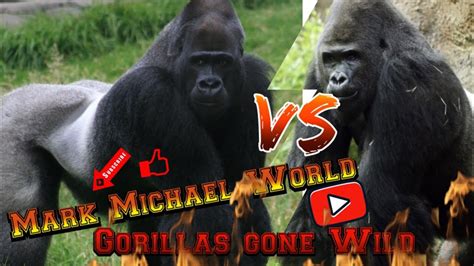 Gorilla Go Wild Parimatch