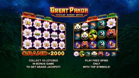 Great Panda Hold And Win Review 2024