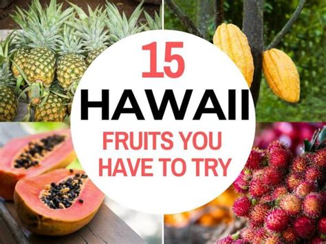 Hawaiian Fruits Review 2024