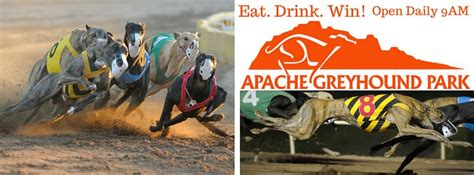 Holdem Apache Greyhound