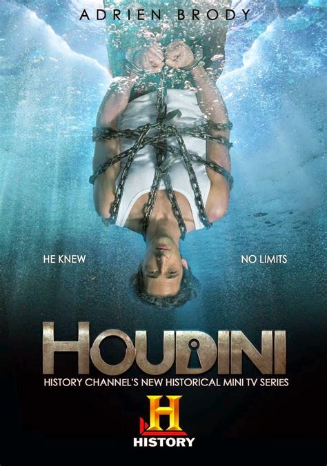 Houdini Betfair