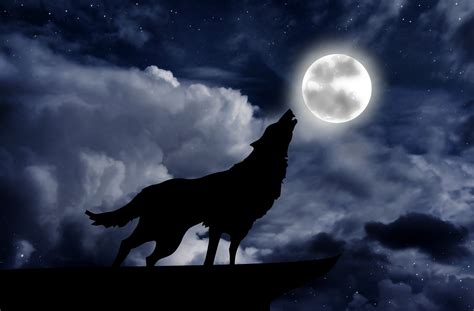 Howling At The Moon Betsul