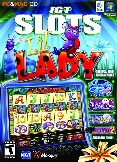 Igt Slots Lil Senhora Numero De Serie