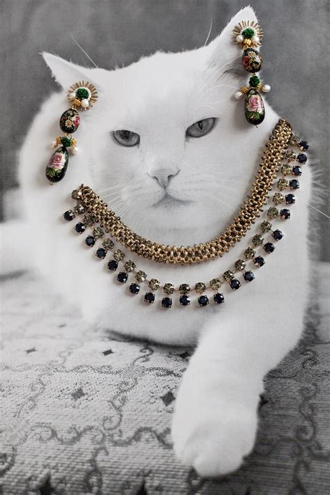 Jewelry Cats Betfair