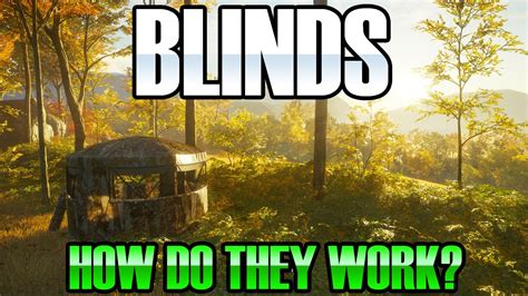 Jogue Blind Wild Online