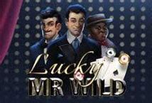 Jogue Lucky Mr Wild Online