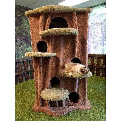 Kitty Condo Betsson