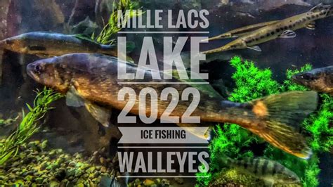 Lago Vermelhao Walleye Slot 2024