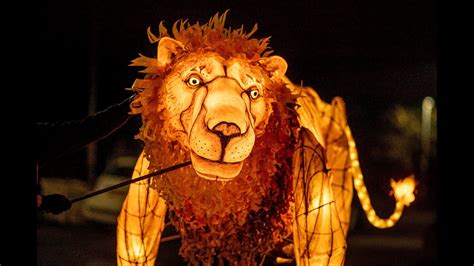 Lanterns Lions Brabet